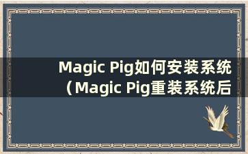 Magic Pig如何安装系统（Magic Pig重装系统后如何设置PE）